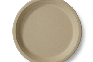 10 inch round plate straight