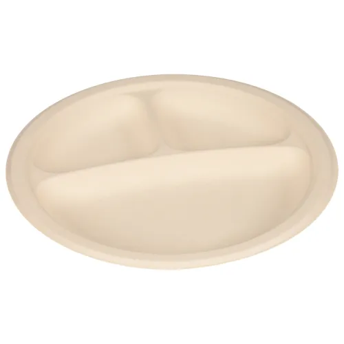9  3 Compartment Plate