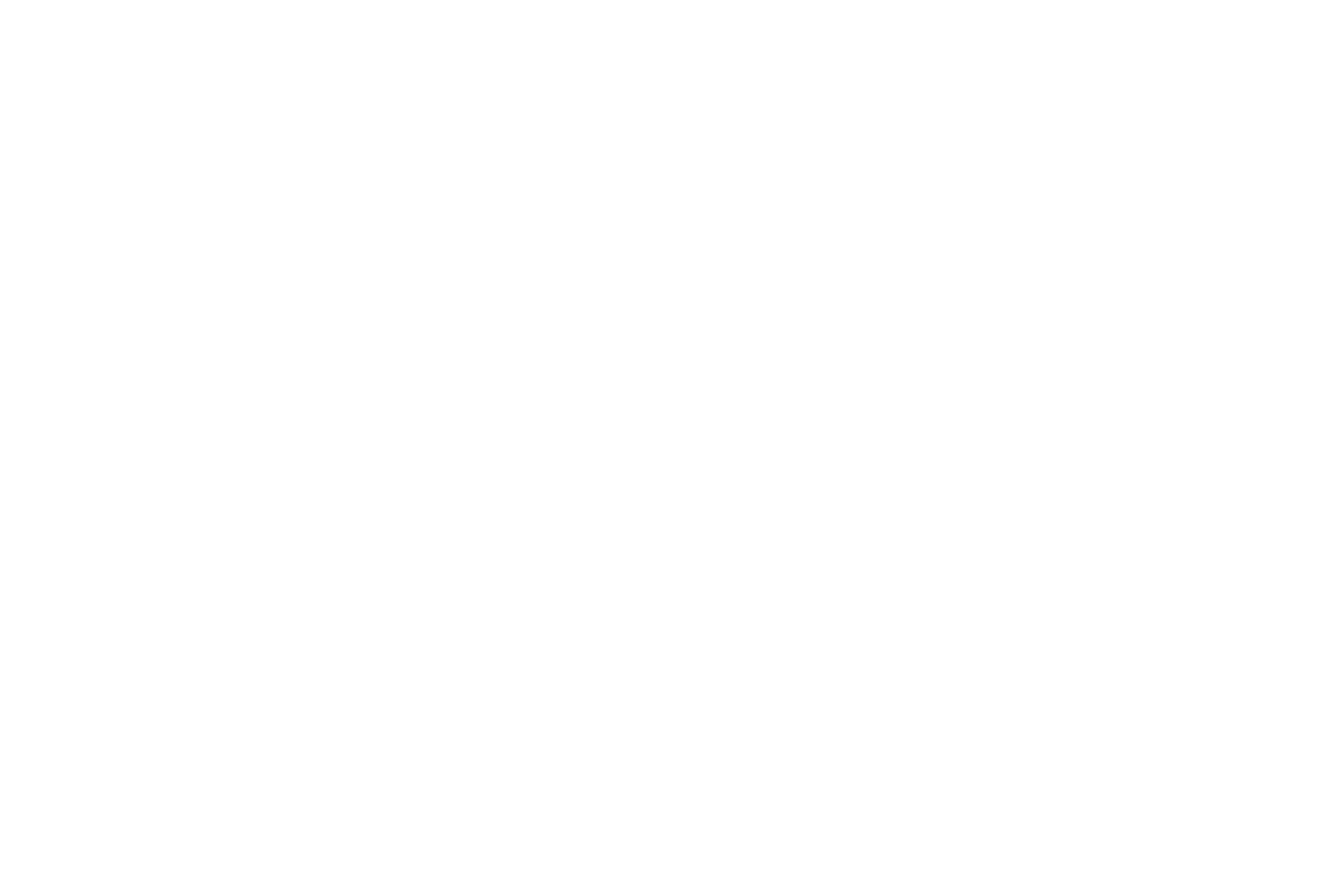 Tellus Elite Logo